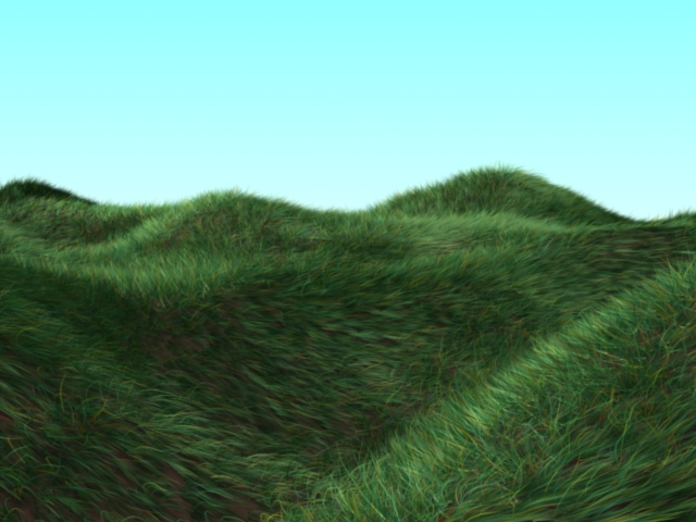 grass.jpg