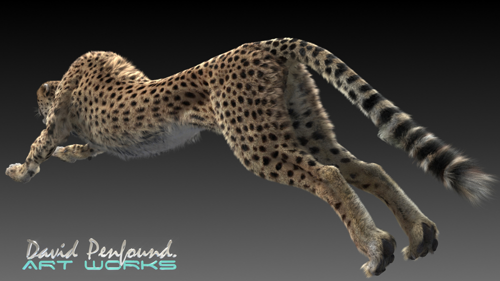 cheetah_test_v8c.jpg