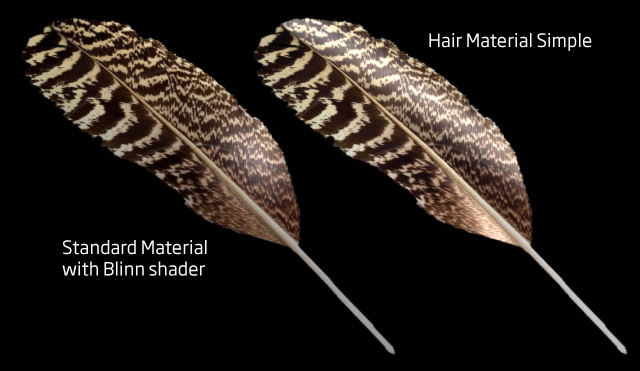 feather.jpg