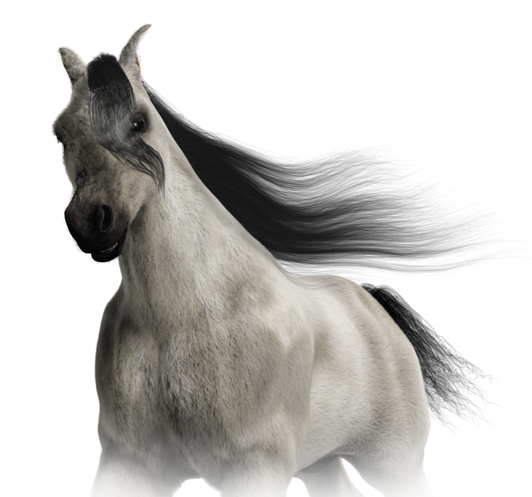 horse_00223.png