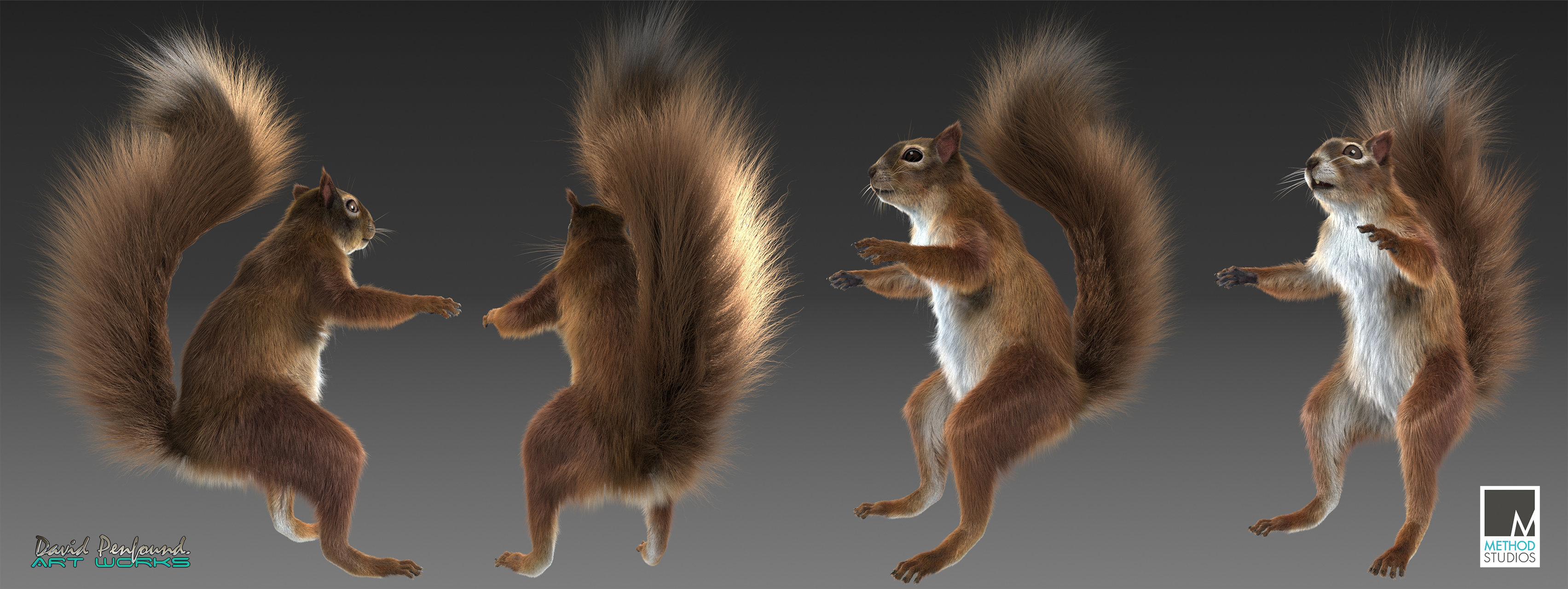 squirrel wips.jpg